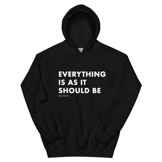 Everything Is As It Should Be Classic Hoodie